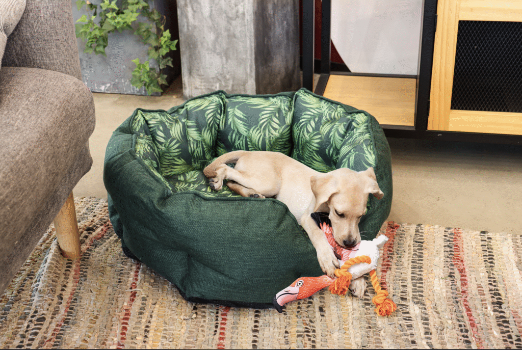 captura de pantalla 2025 12 07 a la(s) 11.49.07 p.m.