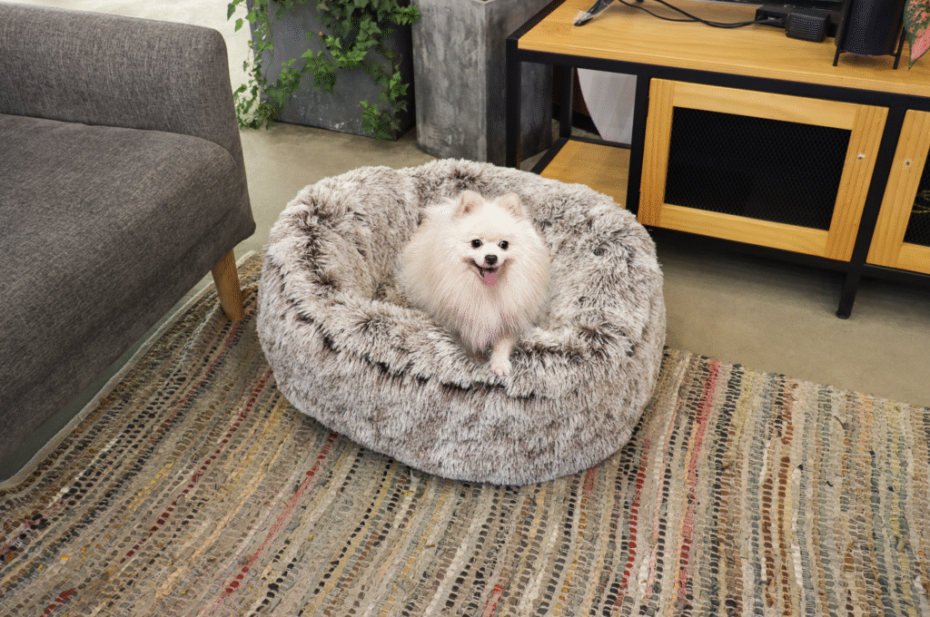 captura de pantalla 2025 12 07 a la(s) 11.49.14 p.m.